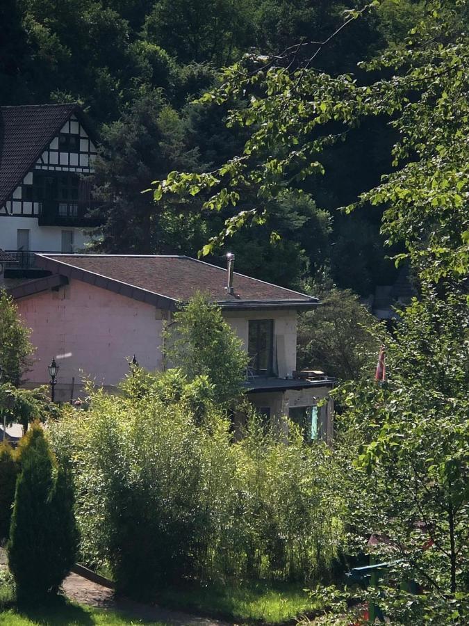 Ferienhaus Waldbaden Im Nationalpark Eifel- Am Bach Шляйден Экстерьер фото