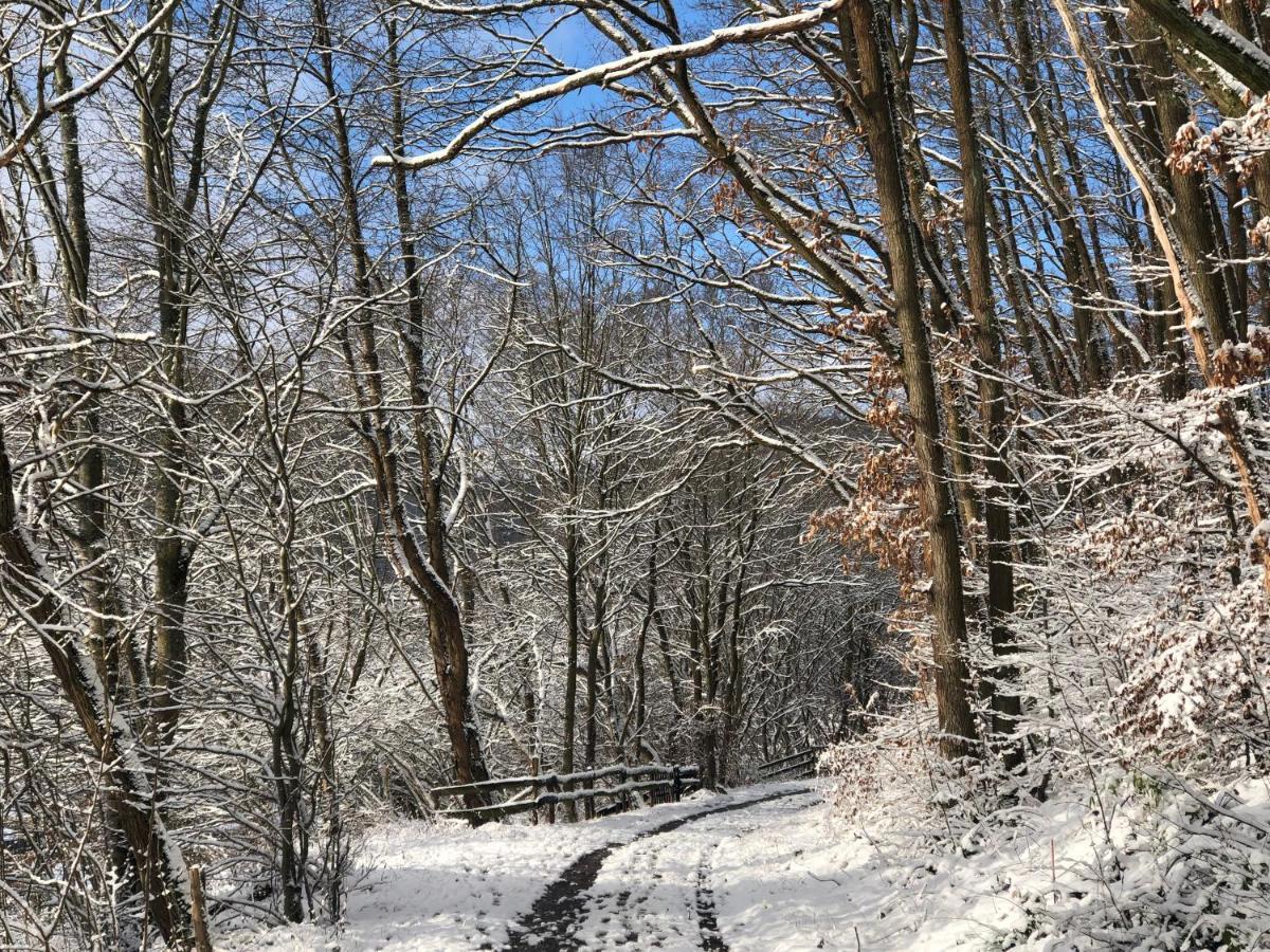 Ferienhaus Waldbaden Im Nationalpark Eifel- Am Bach Шляйден Экстерьер фото