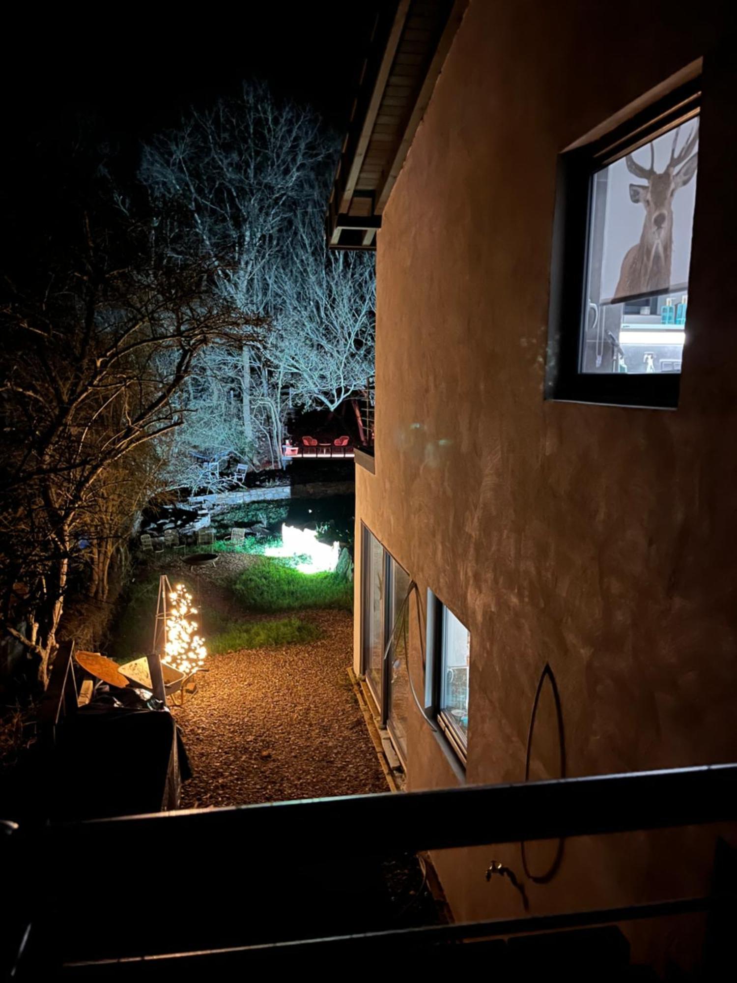 Ferienhaus Waldbaden Im Nationalpark Eifel- Am Bach Шляйден Экстерьер фото